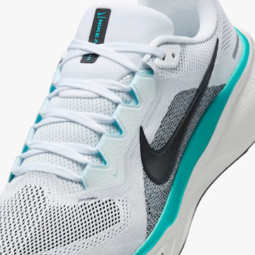 Nike Pegasus