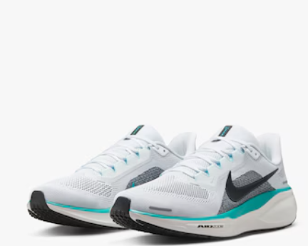 Nike Pegasus